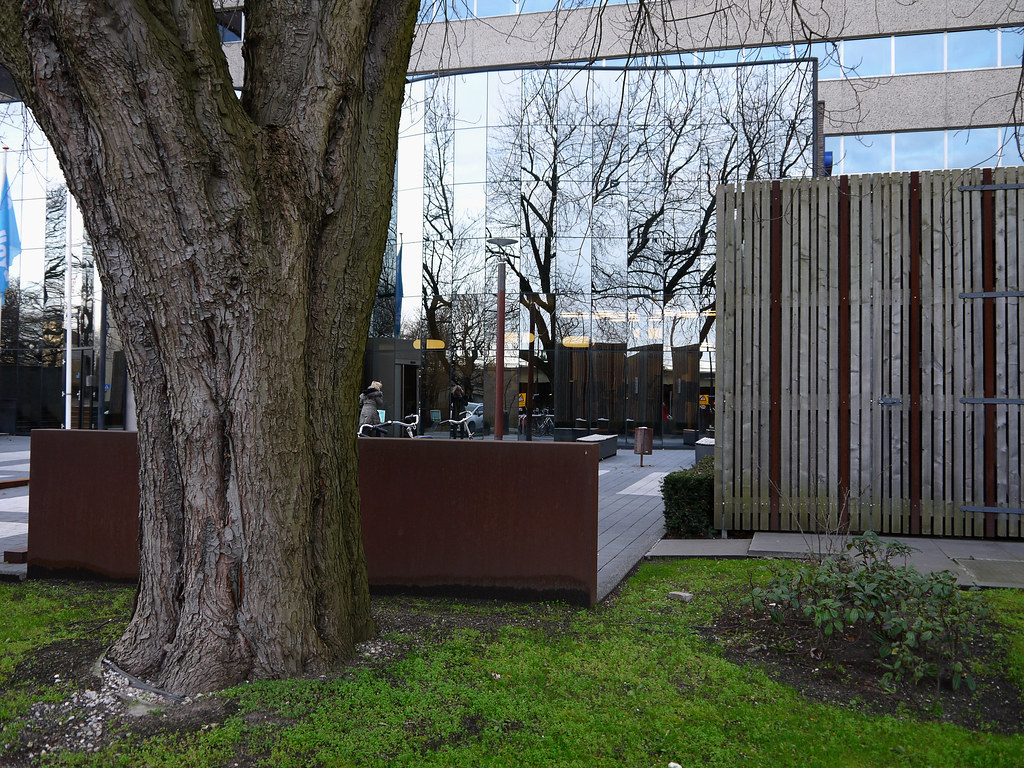Close-up of reflecting windows of an office-building and a solitary urban tree in front of the facade - near Amstel station / Omval / Spaklerweg in Amsterdam city; - urban photography by Fons Heijnsbroek, the Netherlands, 2013